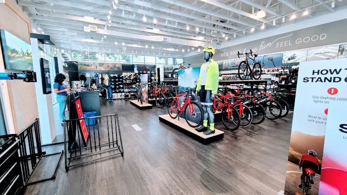 Trek Bicycle Pasadena Picture 4