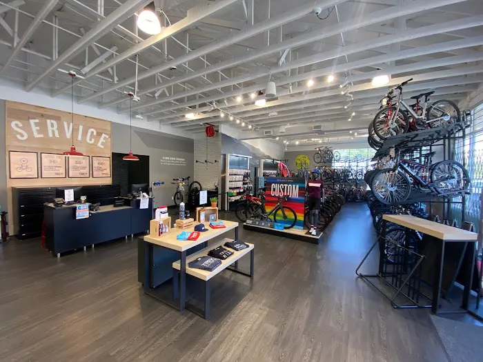 Trek Bicycle Pasadena Picture 10