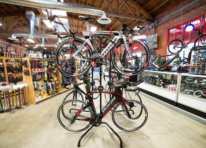 Incycle Pasadena Picture 3