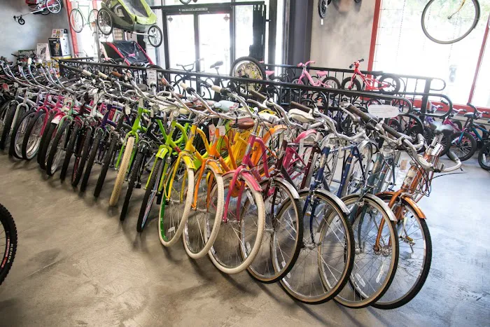 Incycle Pasadena Picture 6