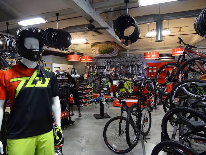 Incycle Pasadena Picture 1