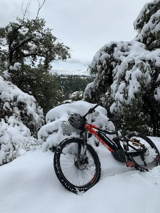 Open Trails E-Bikes Picture 6
