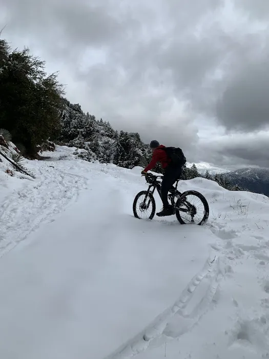 Open Trails E-Bikes Picture 9