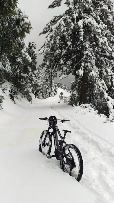 Open Trails E-Bikes Picture 7
