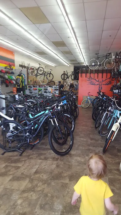 Fenix Cycling Picture 3