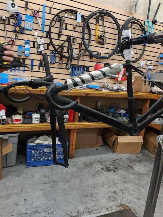 Fenix Cycling Picture 6