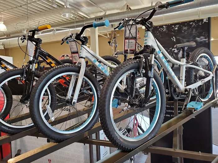 Jax Bicycle Center Picture 6