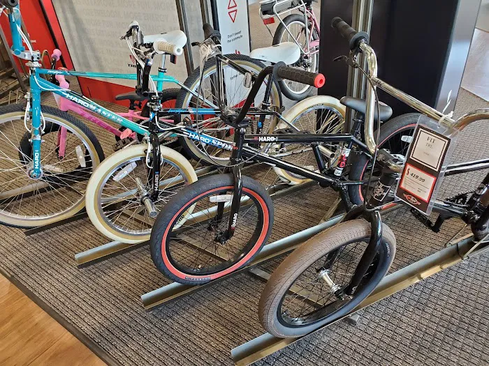 Jax Bicycle Center Picture 9