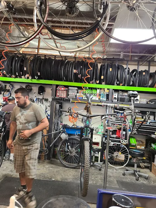 Vic's Bike Shop Picture 9