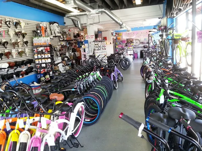Newport Cruisers Bike Shop Picture 2