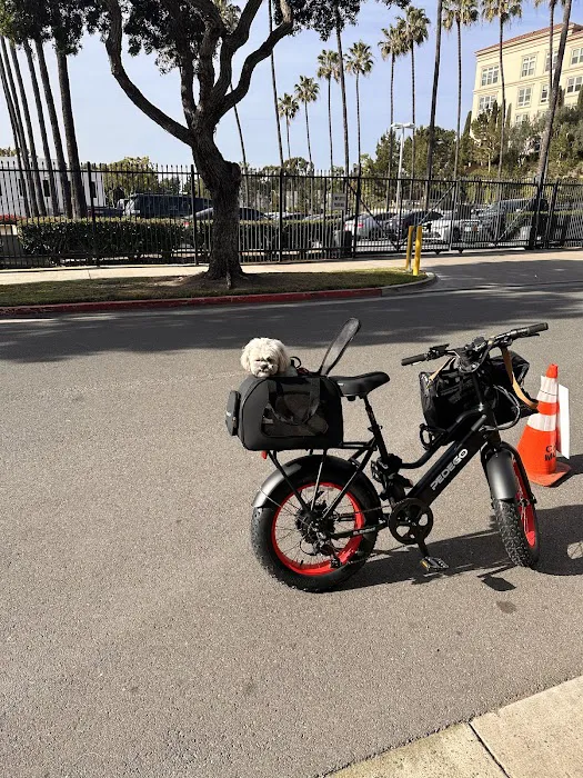 Pedego Electric Bikes Newport Beach Picture 4