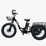 Shujaa Electric Bike Company