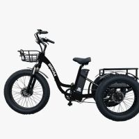 Shujaa Electric Bike Company ico