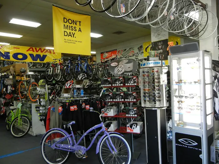 Budget Pro Bicycles Picture 7