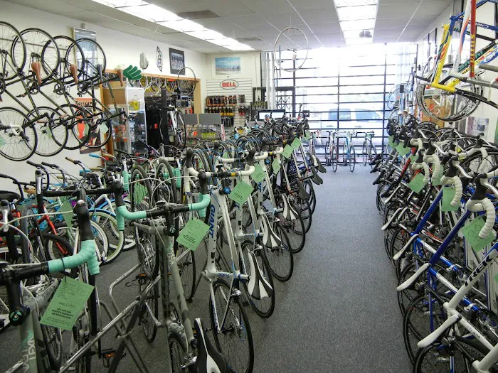 Budget Pro Bicycles Picture 6