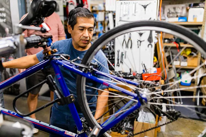 Budget Pro Bicycles Picture 4