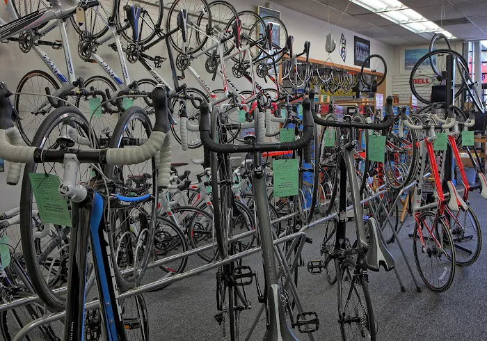 Budget Pro Bicycles Picture 8