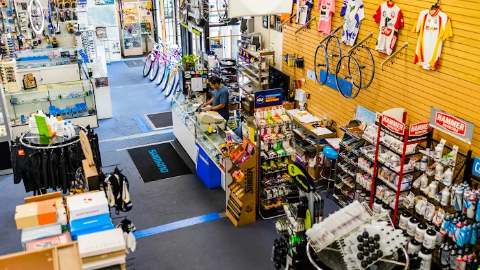Budget Pro Bicycles Picture 10