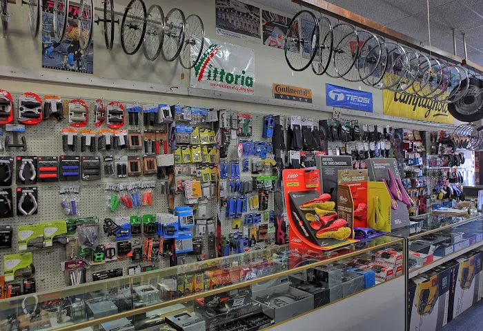 Budget Pro Bicycles Picture 9