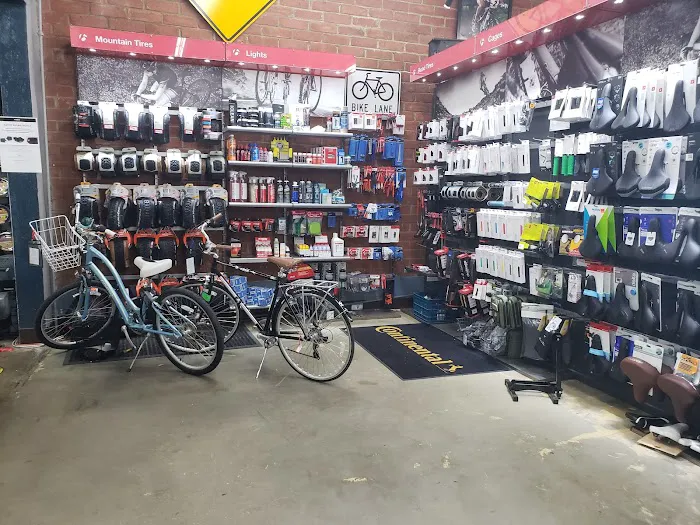 Pasadena Cyclery Picture 3