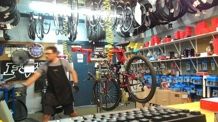Pasadena Cyclery Picture 6