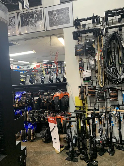 Velo Pasadena Inc Picture 7