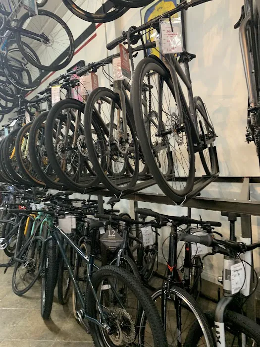Velo Pasadena Inc Picture 6