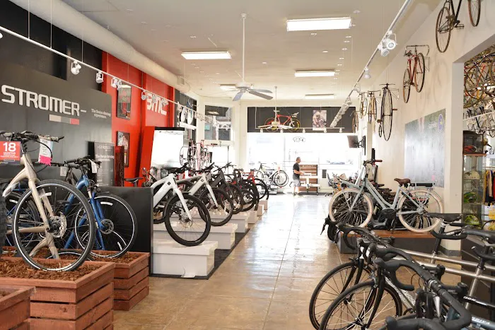 Electric Bikes Velo Pasadena Picture 9