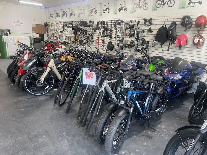 Fly E-Bike Santa Monica Picture 6