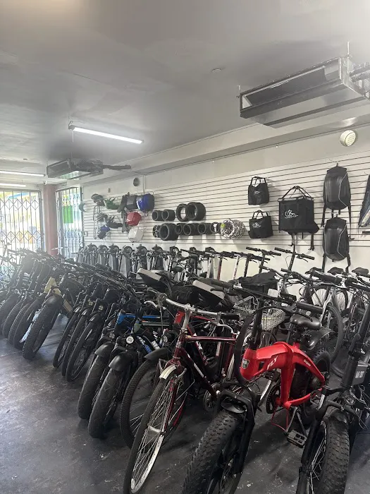 Fly E-Bike Santa Monica Picture 4