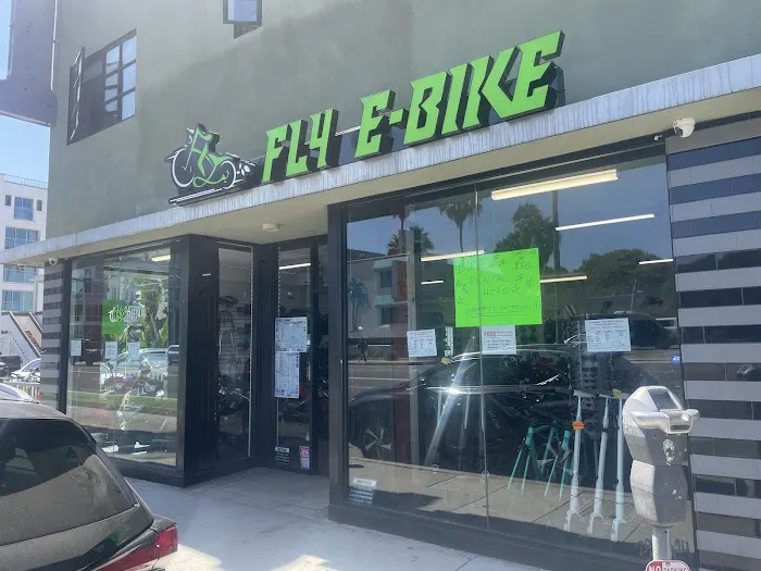 Fly E-Bike Santa Monica Picture 3