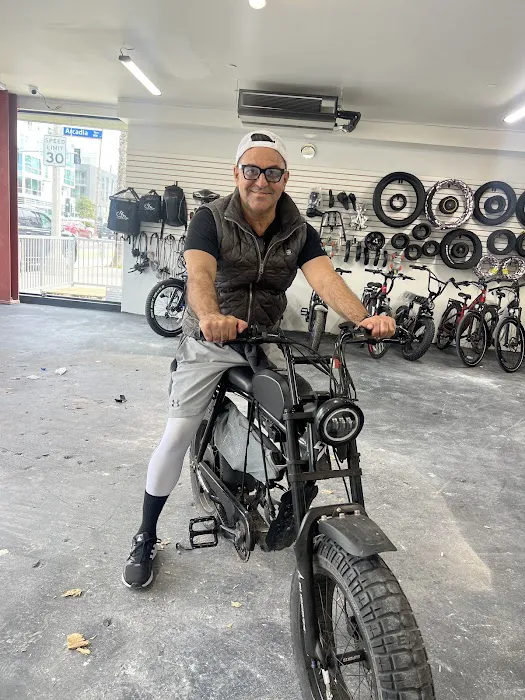 Fly E-Bike Santa Monica Picture 7