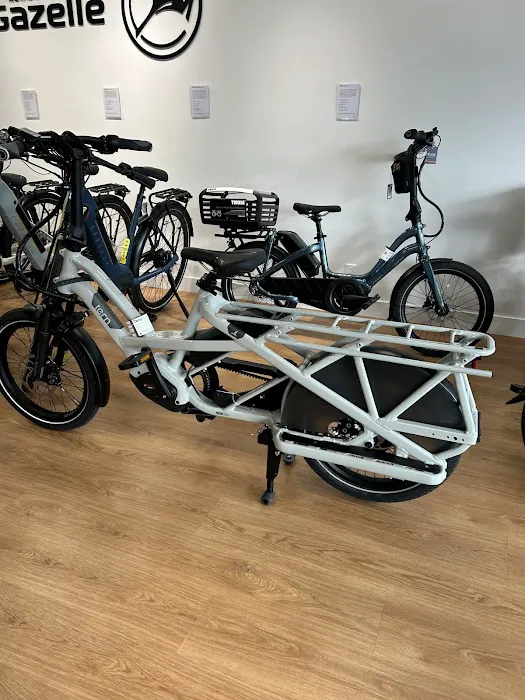 Kruse + Company Bicycles Picture 5
