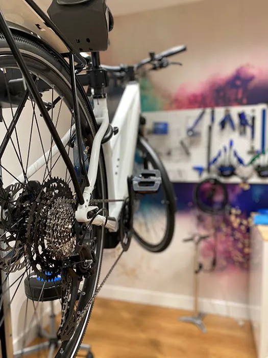 Kruse + Company Bicycles Picture 1