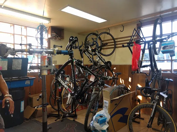 Helen's Cycles Picture 10