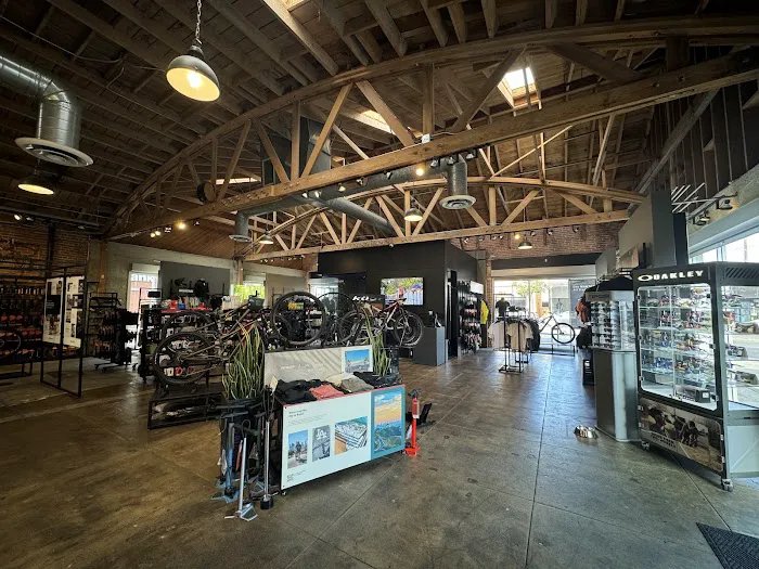 Specialized Santa Monica Picture 5