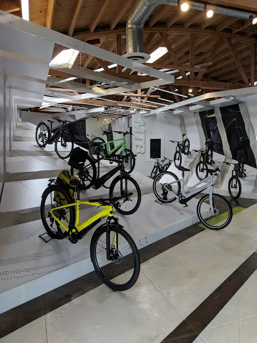 Specialized Santa Monica Picture 8