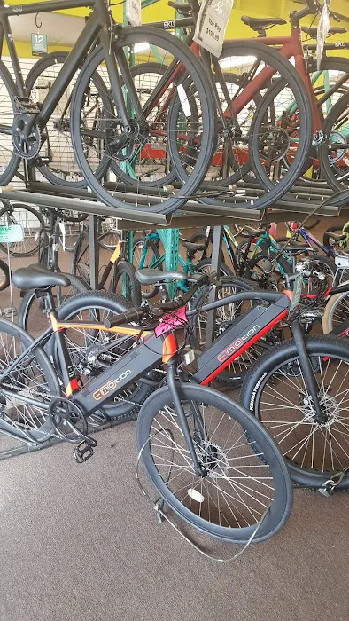 Safety Cycle Picture 9