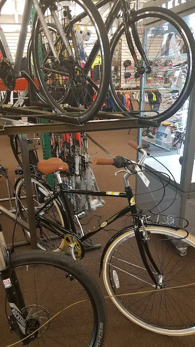 Safety Cycle Picture 8