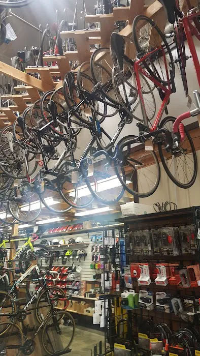 Around the Cycle Picture 8