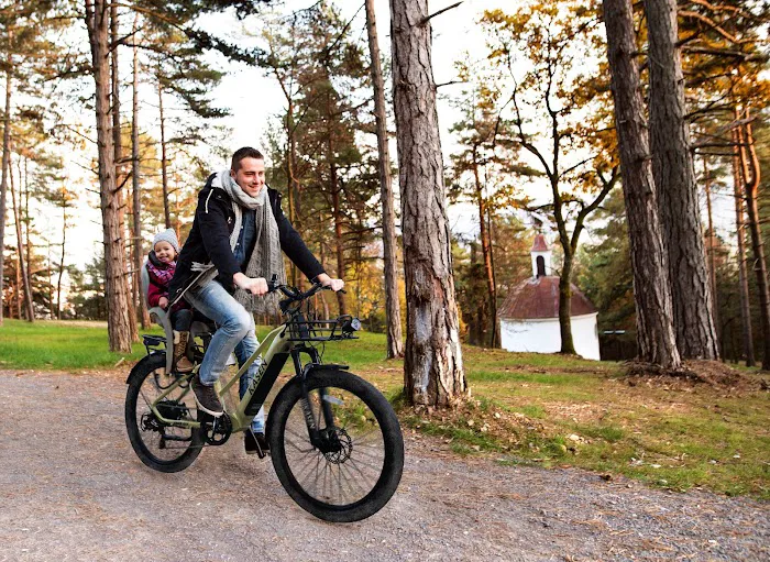 Kasen Electric Bike Picture 9