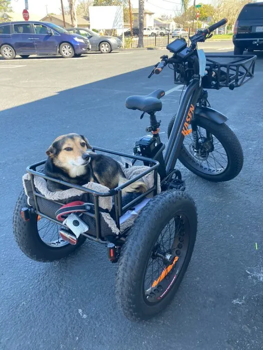 Kasen Electric Bike Picture 6