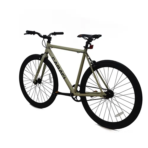 Kasen Electric Bike Picture 5