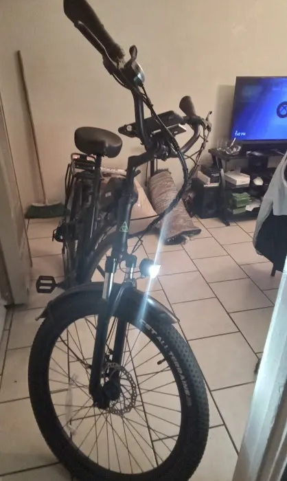 SOHOO eBike Picture 4