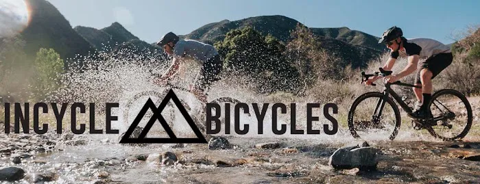 Incycle Chino Picture 9