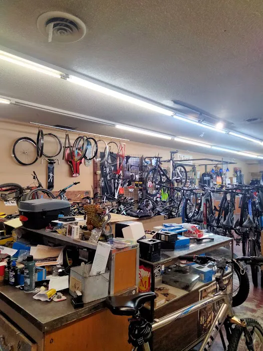 Bumstead's Bicycles Picture 2