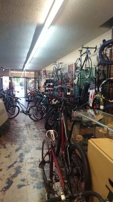 Bumstead's Bicycles Picture 4