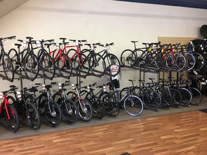 Jax Bicycle Center Picture 9