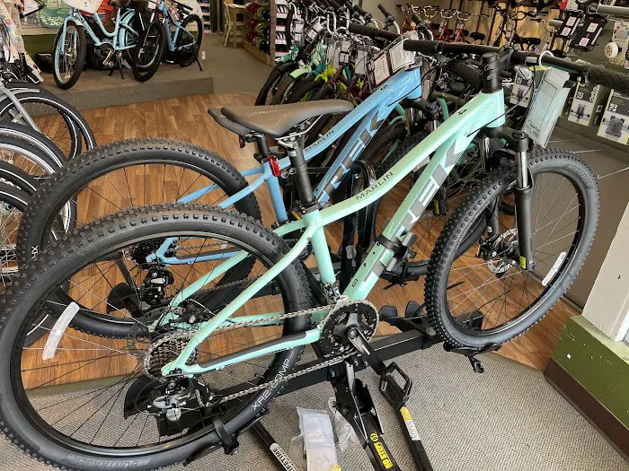 Jax Bicycle Center Picture 5