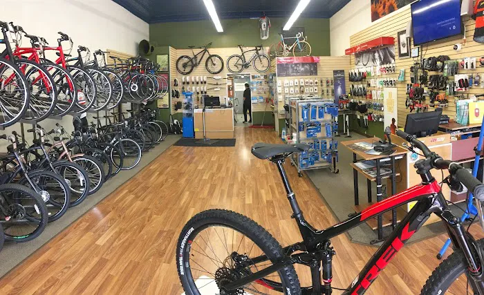 Jax Bicycle Center Picture 6